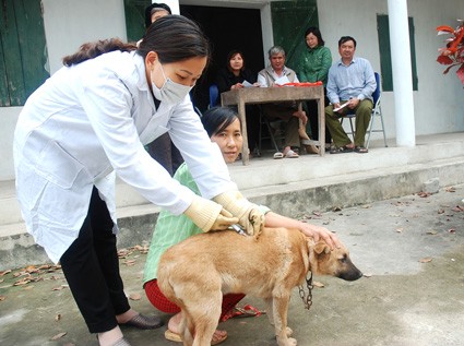 Bộ Y tế: 'Báo động đỏ' dịch chó dại vào mùa Bộ Y tế ra khuyến cáo sử dụng vắc xin kịp thời để phòng bệnh dại, căn bệnh thường tăng cao vào mùa nắng nóng từ tháng 5 đến tháng 8 hàng năm. Ảnh minh họa: Internet