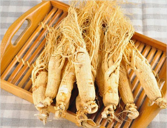 Nhân sâm thành 'độc dược' nếu dùng như thế này Ảnh minh hoạ: Internet