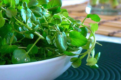 Không ngờ cải xoong chống được ung thư, còn chữa đủ bệnh cực hiệu quả Ảnh minh họa: Internet