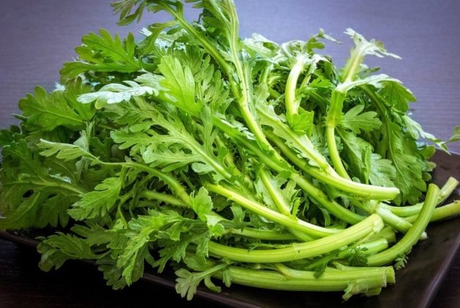 Rau cải cúc chữa nhiều bệnh tốt vô cùng, nhất là hạ huyết áp, giải độc Ảnh minh họa: Internet
