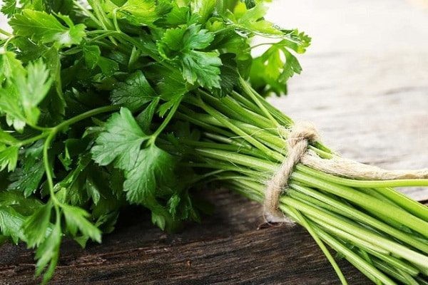 Rau mùi: Cực tốt và cực độc, biết mà tránh khi ăn kẻo rước ung thư vào người Ảnh minh họa: Internet