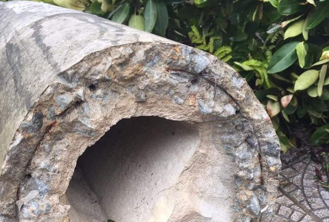 Hơn 400 cột điện đổ la liệt sau bão số 5: Tạm dừng sử dụng cột dự ứng lực Cột điện bê tông ly tâm dự ứng lực "bảo đảm tiêu chuẩn" bị đứt lìa do bão số 5 (bão cấp 8) tại TT-Huế.