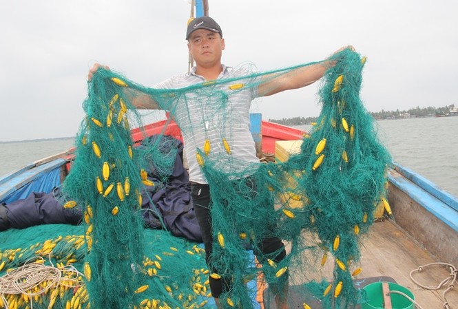 Ngư dân Quảng Nam 'tố' bị tàu nước ngoài tấn công, đập phá ngư cụ Ngư dân Nguyễn Tấn Sơn tố bị nhóm người trên tàu lạ tấn công, đập phá đồ đạc, ngư lưới cụ khi đang đánh bắt trên biển