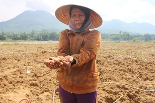 Theo chân thợ săn đặc sản là 'biệt dược phòng the' Thành quả