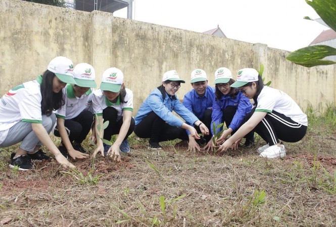 200 công trình, phần việc thực hiện trong Tháng Thanh niên 2019 Trồng cây xanh bảo vệ môi trường