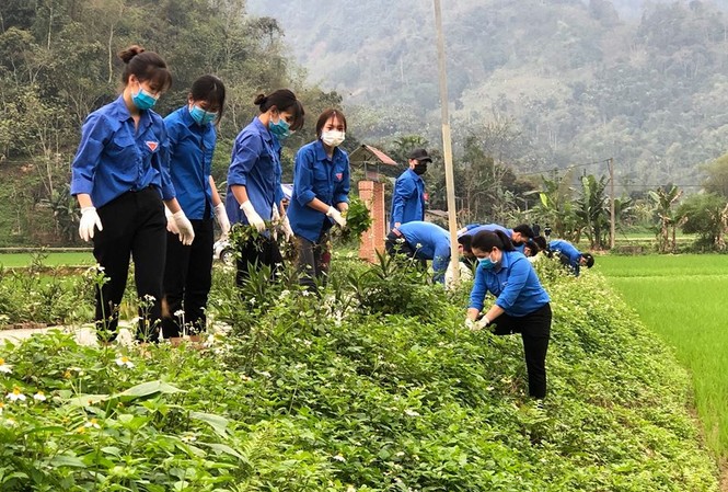 Tuổi trẻ Tuyên Quang thực hiện hàng trăm công trình, phần việc thanh niên Tuổi trẻ Tuyên Quang thực hiện hàng trăm công trình, phần việc thanh niên