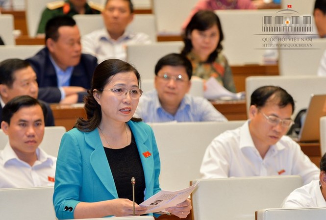 Ba luật 'vênh' nhau, nhà đầu tư lúng túng Trưởng đoàn ĐBQH tỉnh Quảng Ninh Đỗ Thị Lan