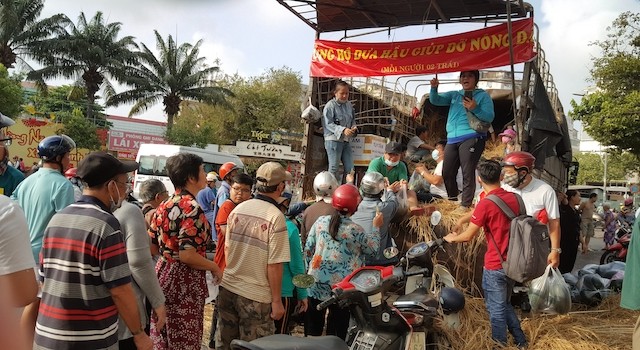 Bạn trẻ mua 27 tấn dưa hấu mang về phát miễn phí Bạn trẻ mua 27 tấn dưa hấu mang về phát miễn phí
