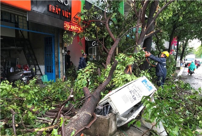 Mưa lớn chiều nay ở TPHCM: Cây đổ đè gẫy tụ điện, nhiều người tháo chạy Nhiều người tháo chạy khi cây xanh ngã xuống vỉa hè.