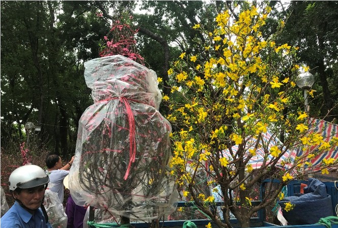 Kiếm tiền triệu mỗi ngày từ chở thuê ở chợ hoa ngày cận Tết Mỗi chuyến xe ba gác chở hoa dịp Tết có giá từ 300-500 nghìn đồng.