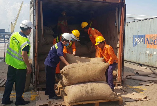 6 tấn vảy tê tê giấu trong container hạt điều về Việt Nam Container chứa hơn 6 tấn vảy tê tê nhập lậ.
