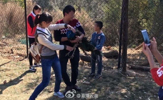 Công trong sở thú chết vì bị du khách nô đùa vặt lông Theo Sina, một sở thú ở Côn Minh (Vân Nam, Trung Quốc) vừa ghi nhận trường hợp hai trong số 6.800 con công chết vì sự vô ý thức của các du khách.
