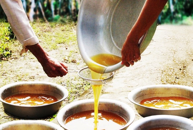 Xử lý mật ong không rõ nguồn gốc vùng U Minh Hạ Tách lọc mật ong tự nhiên U Minh Hạ