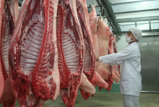 TPHCM sẽ có 'thịt heo đồng giá' 35.000 đồng/kg TP HCM tích cực hỗ trợ tiêu thụ thịt heo tồn đọng