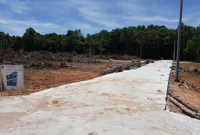 Phú Quốc yêu cầu cán bộ dừng đi nước ngoài để giải quyết việc đất đai Một dự án phân lô bán nền sát bìa rừng trên đảo Phú Quốc