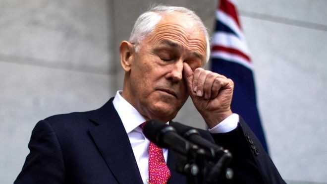 10 bộ trưởng từ chức, chính trường Úc hỗn loạn Thủ tướng Úc Malcolm Turnbull. Ảnh: AFP