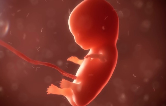 Bang Georgia (Mỹ): Phá thai trên 6 tuần tuổi sẽ bị tử hình Luật mới của bang Georgia coi thai nhi cũng là con người có đầy đủ quyền pháp lý.