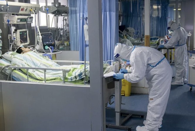 HSSV nghỉ học vô thời hạn vì corona, Trung Quốc cấm mua bán động vật hoang dã Coronavirus mới đã cướp đi ít nhất 56 sinh mạng ở Trung Quốc. Ảnh: China Daily.
