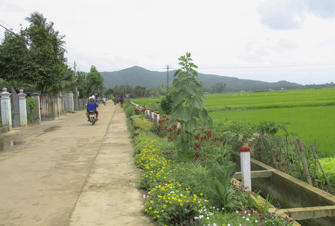 Thảm hoa trên những con đường quê “Thảm hoa” những con đường quê! - Ảnh: Trương Định