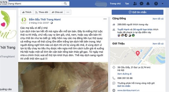 Đề nghị xử lý đăng thông tin thất thiệt về dịch tả lợn châu Phi Trang thông tin đăng thông tin sai sự thật về bệnh ASF ngày 4/3.