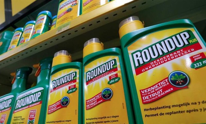Cấm sử dụng chất diệt cỏ Glyphosate vì khả năng gây ung thư Bộ NN&PTNT chính thức loại bảo thuốc diệt cỏ Glyphosate ra khỏi danh mục thuốc BVTV được phép sử dụng tại Việt Nam