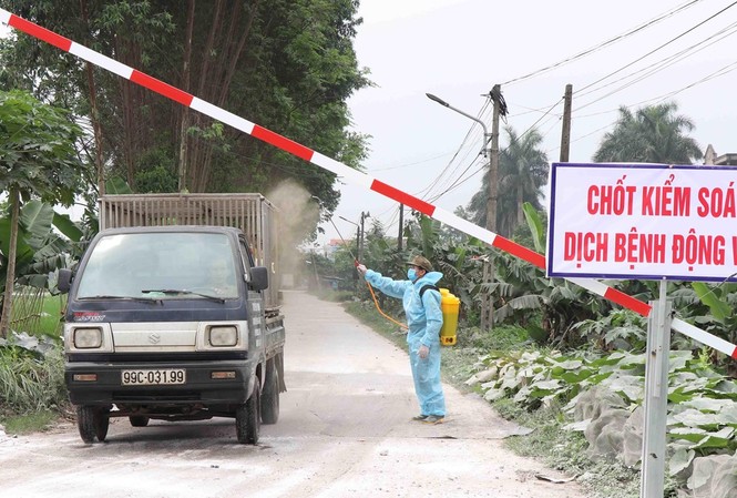 Bắc Kạn công bố hết dịch tả lợn châu Phi Các địa phương tăng cường kiểm soát hạn chế dịch tả lợn châu Phi lây lan