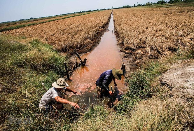 Thủy điện của Trung Quốc giảm lưu lượng xả, lo ĐBSCL ảnh hưởng Đập thủy điện Cảnh Hồng (Trung Quốc) giảm lưu lượng xả, sẽ tác động đến tình hình xâm nhập mặn ở Đồng bằng sông Cửu Long (Ảnh: Trọng Đạt)