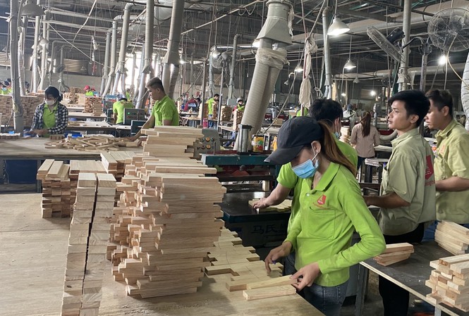 Vụ áp thuế từ 0 lên 25%: Tổng cục Hải quan chính thức sửa lỗi Tổng cục Hải quan đã có thông báo về việc áp mã HS 4418 với loại gỗ ghép thanh, với mức thuế xuất khẩu 0%.