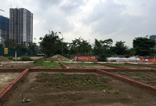 Hà Nội thu 2.426 tỷ đồng từ đấu giá đất Việc bán đấu giá QSDĐ giúp Thành phố thu về cho ngân sách 2.426 tỷ đồng