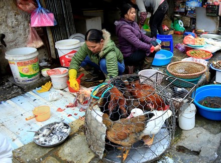 Hà Nội khởi tố 4 vụ, xử phạt 28 tỷ đồng các cơ sở vi phạm an toàn thực phẩm Hà Nội sẽ kiên quyết dẹp bỏ tình trạng giết mổ gia cầm mất vệ sinh trên địa bàn.