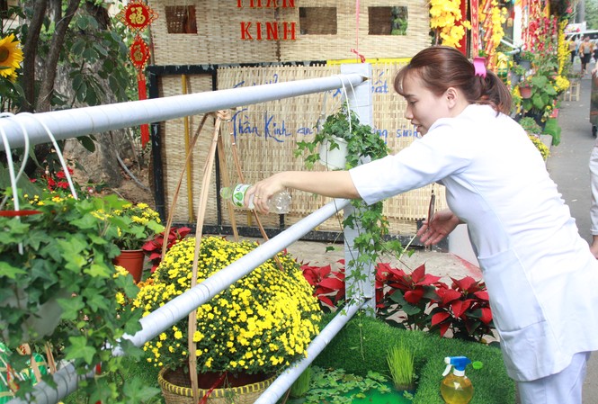 Đẹp mắt đường hoa xuân do các y, bác sỹ dày công chuẩn bị Đẹp mắt đường hoa xuân do các y, bác sỹ dày công chuẩn bị