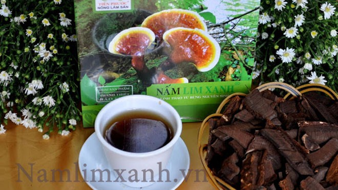 Nấm lim xanh có tác dụng hiệu quả với điều trị ung thư vòm họng Nấm lim xanh điều trị ung thư vòm họng hiệu quả