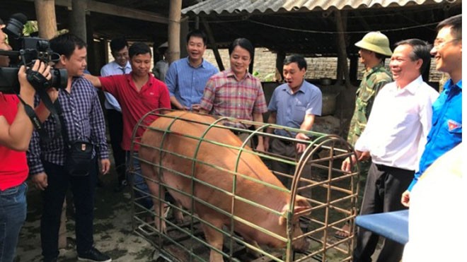 LienVietPostBank tiếp tục hành trình “giải cứu đàn lợn” ở Tây Bắc LienVietPostBank tiếp tục hành trình “giải cứu đàn lợn” ở Tây Bắc