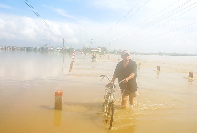 Bão số 14 gây lũ lớn vùng hạ lưu sông Côn và sông Hà Thanh Tuyến tỉnh lộ, đường nông thôn nằm cuối nguồn sông Côn liên thông 2 huyện Tuy Phước và Phù Cát bị lũ nhấn chìm
