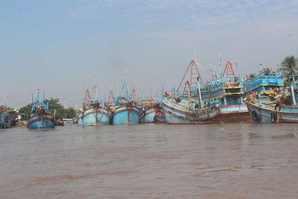 Bến Tre cho tàu, thuyền ra khơi trở lại sau 11 giờ ngày 26/12 tàu thuyền ở Bến Tre có thể ra khơi trở lại từ sau 11 giờ ngày 26/12