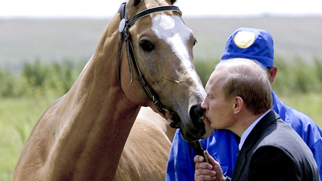Tổng thống Putin sưu tập ngựa Ông Putin hôn ngựa
