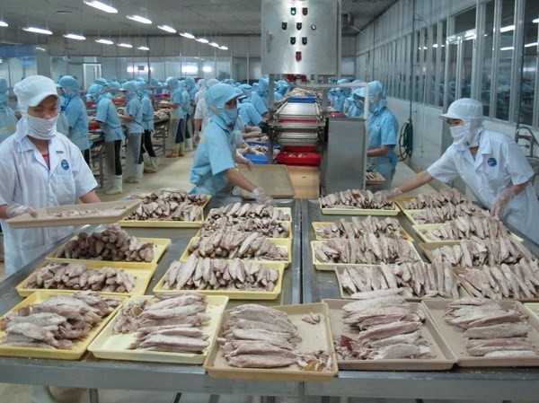 Nhiều cơ sở kinh doanh nông sản xếp loại C chưa bị xử lý Nhiều cơ sở kinh doanh nông sản xếp loại C chưa bị xử lý