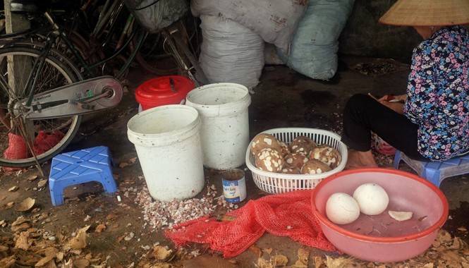 Kinh hãi làm kem bẩn, xưởng sản xuất như chuồng heo Người phụ nữ này chế biến nguyên liệu thô
cho sản phẩm kem sữa dừa ngay bên lề đường
