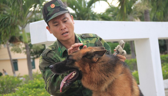 'Mũi chông thép' Biên phòng Tình thương yêu là bài tập “giao cảm” để chó nghiệp vụ và các huấn luyện viên hòa hợp nhau