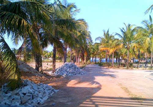 Đà Nẵng sẵn sàng hầu kiện khi mạnh tay thu hồi dự án 'treo' Nhiều dự án ven biển nằm chỉ trồng cây, đổ đá rồi bất động nhiều năm nay. Ảnh: Nguyễn Đông.