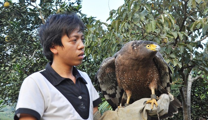 Ngỡ ngàng thú chơi hàng độc giữa núi rừng Lào Cai Anh Vinh và chú chim “chúa tể bầu trời”.