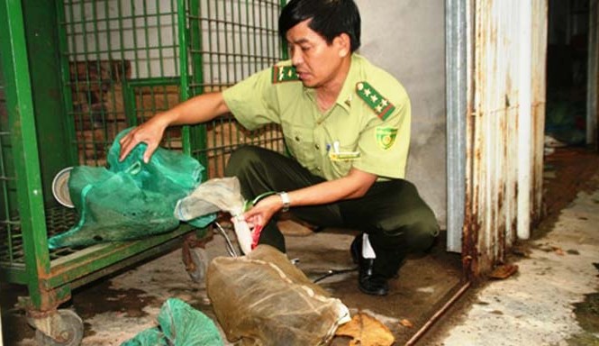Phát hiện 'kho' động vật rừng giữa phố Lực lượng chức năng tỉnh TT-Huế phát hiện, bắt giữ một vụ vận chuyển động vật hoang dã trái phép. Ảnh: TL