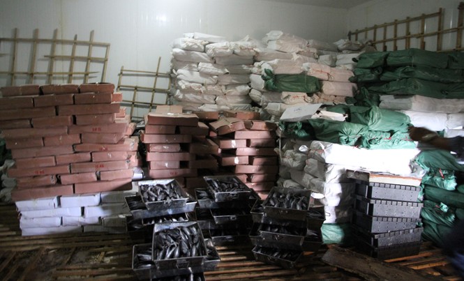 Bối rối tiêu hủy 60 tấn hải sản liên quan đến Formosa Kho hàng đông lạnh của bà Thuộc (thị trấn Cửa Tùng, huyện Vĩnh Linh), nơi mà Sở Y tế Quảng Trị đã từng có kết luận 20 tấn cá nục nhiễm Phenol. ẢNH: H.T.