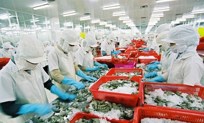 EU cảnh báo thuỷ sản Việt Nam nhiễm kim loại nặng EU cảnh báo nhiều lô hàng thủy sản Việt Nam nhiễm kim loại nặng vượt mức cho phép.