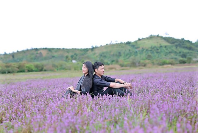 Cánh đồng hoa tím quyến rũ bên sông Krông Ana Tạo dáng giữa cánh đồng hoa.