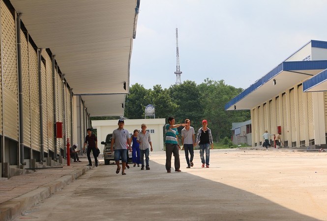 Chợ đầu mối nông sản lớn nhất Đông Nam Bộ đi vào hoạt động Chợ đầu mối nông sản lớn nhất Đông Nam Bộ đi vào hoạt động.