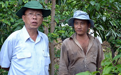 Bản tin 20H: Bí thư Hậu Giang được nghỉ hưu sớm Ông Trần Công Chánh trong lần tiếp xúc với nông dân.
