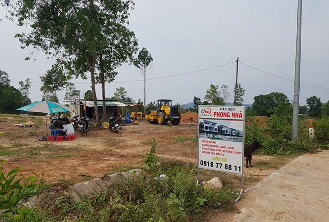 Sau 'cơn sốt' đất đai, Phú Quốc xử lý cán bộ Trong thời gian qua xảy ra cơn "sốt" đất tại huyện đảo này và nhiều sai phạm trong quản lý đất đai.