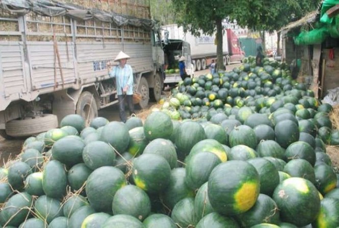 Gần 1.000 container nông sản ùn ứ tại cửa khẩu Hiện còn gần 1.000 container nông sản ùn ứ tại cửa khẩu của các tỉnh