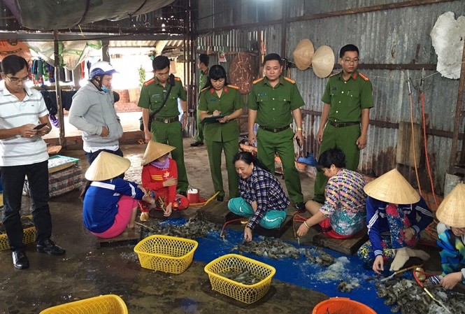 Bơm tạp chất vào tôm, hai cơ sở bị phạt hàng trăm triệu đồng Lực lượng chức năng bắt quả tang hành vi bơm tạp chất vào tôm nguyên liệu